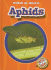 Aphids (Blastoff! Readers: World of Insects) (Blastoff Readers. Level 2)