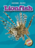 Lionfish (Blastoff! Readers: Oceans Alive) (Blastoff! Readers: Oceans Alive ())