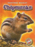 Chipmunks (Blastoff! Readers: Backyard Wildlife)