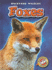 Foxes (Blastoff! Readers: Backyard Wildlife)