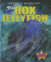 The Box Jellyfish (Nature's Deadliest)
