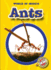 Ants (World of Insects: Blastoff! Readers Level 2)