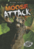 Moose Attack (Torque: Animal Attacks)