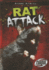 Rat Attack (Torque: Animal Attacks)