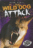 Wild Dog Attack (Torque: Animal Attacks)