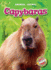 Capybaras (Blastoff! Readers: Animal Safari)