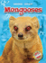 Mongooses (Blastoff! Readers: Animal Safari)