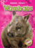 Wombats (Blastoff! Readers: Animal Safari)