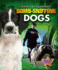 Bomb-Sniffing Dogs (Pilot, Dogs to the Rescue! )