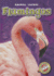 Flamingos (Blastoff Readers. Level 1) (Animal Safari)