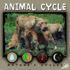 Animal Cycle (Nature's Cycles Discovery Library)