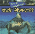How Do Animals Use Their Flippers?