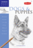Dogs and Puppies: Discover Your Inner Artist as You Explore the Basic Theories and Techniques of Pencil Drawing (Drawing Made Easy)