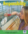Responsibility (the Six Pillars of Character)