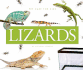 Lizards (Pet Care for Kids)