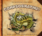 Compsognathus (Introducing Dinosaurs)