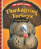 Thanksgiving Turkeys (Our Holiday Symbols)