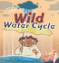Wild Water Cycle (Science Rocks! )
