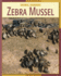 Zebra Mussel (21st Century Skills Library: Animal Invaders)