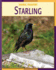Starling