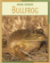 Bullfrog (21st Century Skills Library: Animal Invaders)