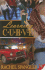 Learning Curve Format: Paperback
