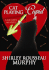 Cat Playing Cupid: a Joe Grey Mystery