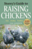 Storey's Guide to Raising Chickens, 3rd Edition