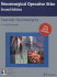 Vascular Neurosurgery (Neurosurgical Operative Atlas)
