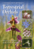 Conservationmethodsforterrestrialorchids Format: Clothoverboards