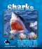 Sharks (Underwater World)