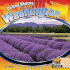 Washington