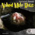 Naked Mole Rats (Nocturnal Animals)