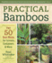Practical Bamboos: the 50 Best Plants for Screens, Containers and More