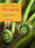 Northeast Foraging: 120 Wild and Flavorful Edibles From Beach Plums to Wineberries (Regional Foraging Series)
