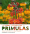 The Plant Lover's Guide to Primulas