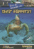 How Do Animals Use...Their Flippers?