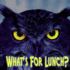 What's for Lunch? (Rourke Board Books)