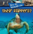 How Do Animals Use� Their Flippers?