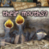 How Do Animals Use�their Mouths?