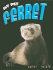 My Pet Ferret