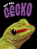Gecko (My Pet)