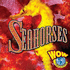 Seahorses (World of Wonder)