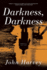 Darkness, Darkness: a Novel