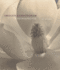 Imogen Cunningham: a Retrospective