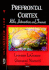 Prefrontal Cortex: Roles, Interventions &Amp; Traumas