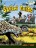 Safari Guide (Jobs That Rock Graphic Illustrated)