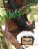 Bats (Eye to Eye With Endangered Species)