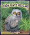 Baby Owl's Rescue