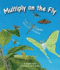 Multiply on the Fly (Arbordale Collection)